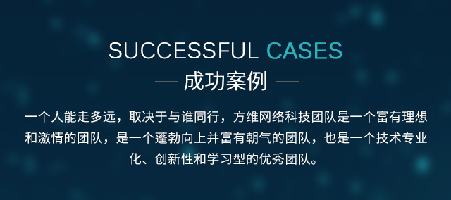 成功案例